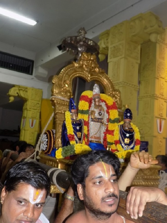 Mylapore SVDD Srinivasa Perumal Temple Irappathu Utsavam6