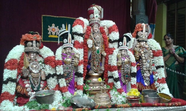 Mylapore SVDD Srinivasa Perumal Temple Kanu Utsavam2