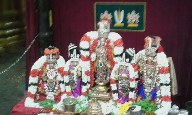 Mylapore SVDD Srinivasa Perumal Temple Kanu Utsavam5