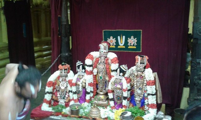 Mylapore SVDD Srinivasa Perumal Temple Kanu Utsavam6