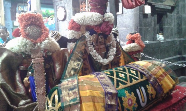 Mylapore SVDD Srinivasa Perumal Temple Kanu Utsavam8
