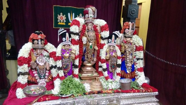 Mylapore SVDD Srinivasa Perumal Temple Kanu Utsavam9