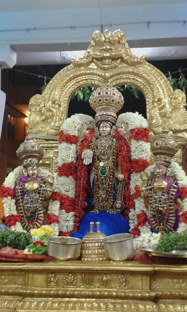 Mylapore SVDD Srinivasa Perumal Temple Makara sankaranthi Utsavam14