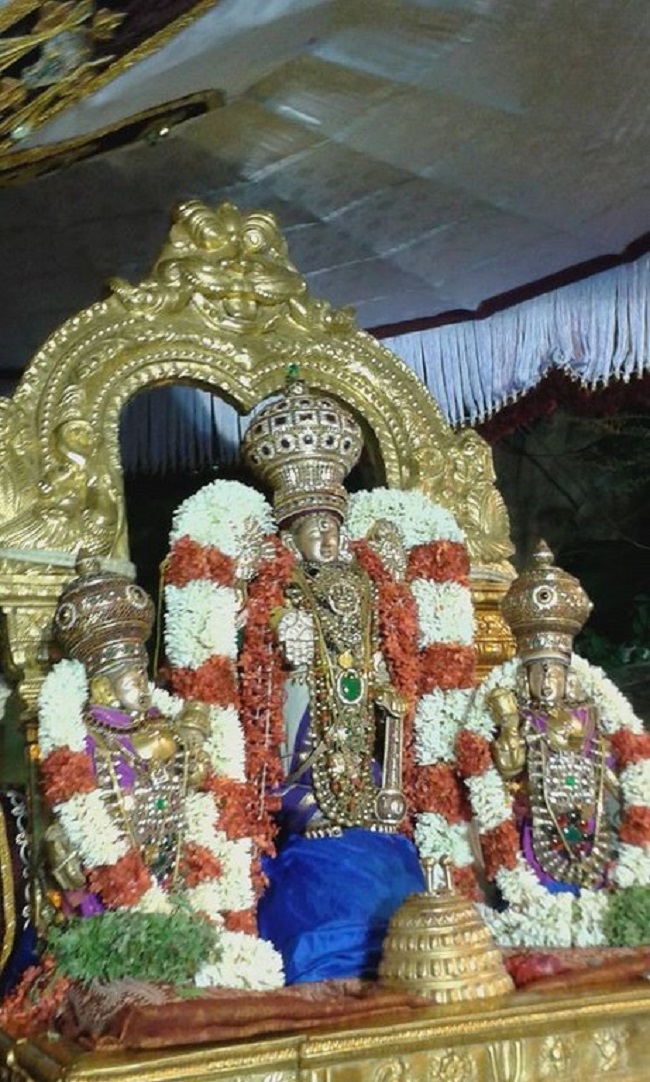 Mylapore SVDD Srinivasa Perumal Temple Makara sankaranthi Utsavam15