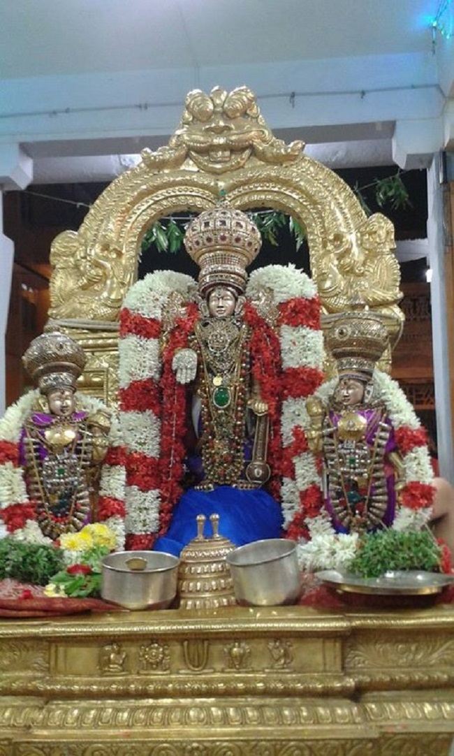 Mylapore SVDD Srinivasa Perumal Temple Makara sankaranthi Utsavam17