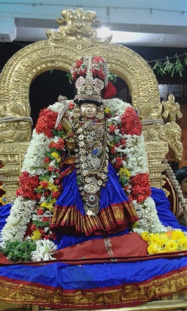 Mylapore SVDD Srinivasa Perumal Temple Makara sankaranthi Utsavam19