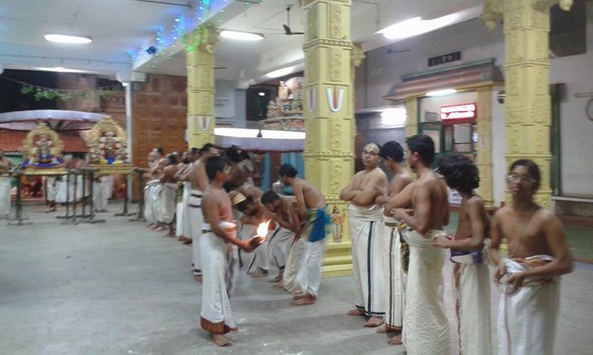 Mylapore SVDD Srinivasa Perumal Temple Makara sankaranthi Utsavam2