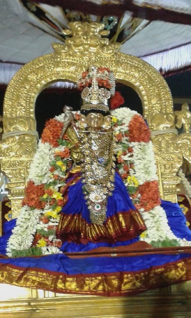 Mylapore SVDD Srinivasa Perumal Temple Makara sankaranthi Utsavam7