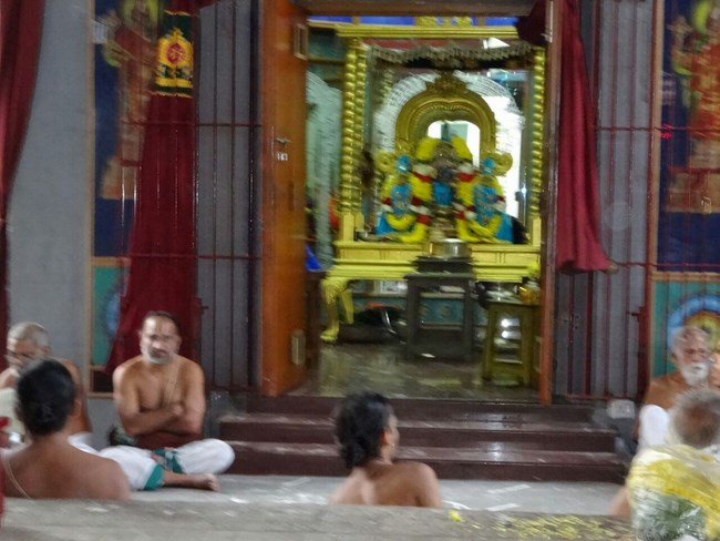 Mylapore SVDD Srinivasa Perumal Temple Pagal Pathu Satrumurai3