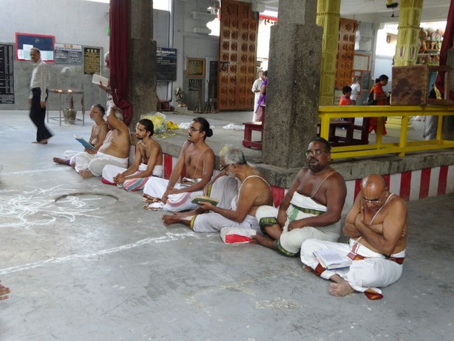 Mylapore SVDD Srinivasa Perumal Temple Pagal Pathu Satrumurai4