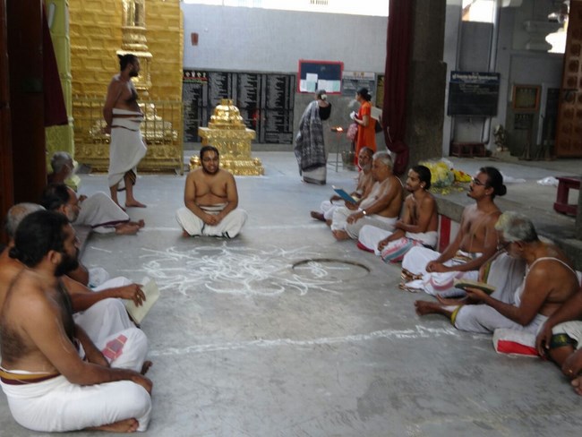 Mylapore SVDD Srinivasa Perumal Temple Pagal Pathu Satrumurai6