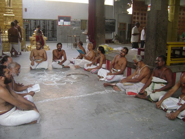 Mylapore SVDD Srinivasa Perumal Temple Pagal Pathu Satrumurai7