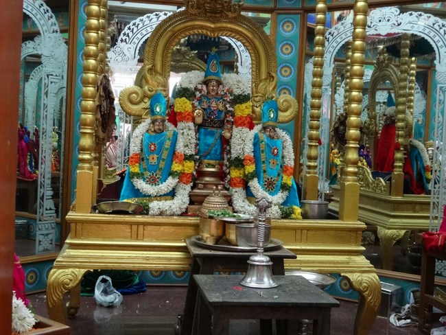 Mylapore SVDD Srinivasa Perumal Temple Pagal Pathu Utsavam 11