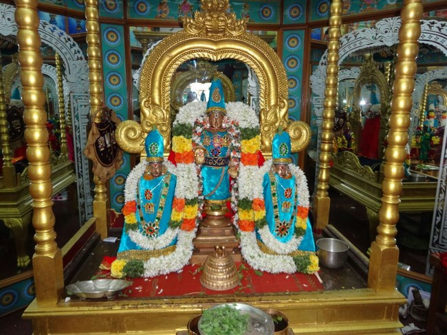 Mylapore SVDD Srinivasa Perumal Temple Pagal Pathu Utsavam 2