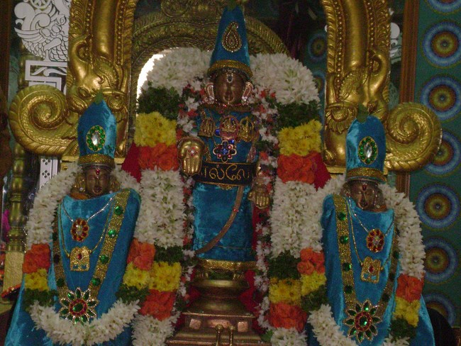 Mylapore SVDD Srinivasa Perumal Temple Pagal Pathu Utsavam 3