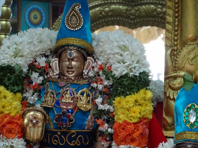 Mylapore SVDD Srinivasa Perumal Temple Pagal Pathu Utsavam 8