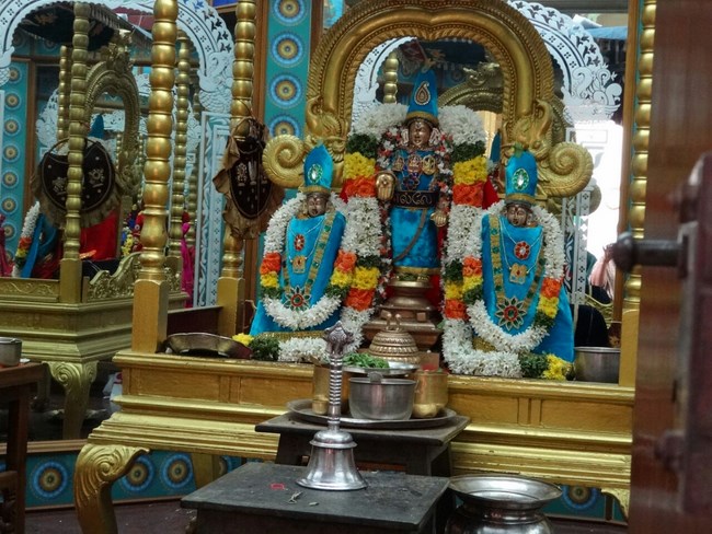 Mylapore SVDD Srinivasa Perumal Temple Pagal Pathu Utsavam 9