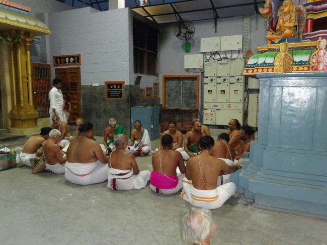 Mylapore SVDD Srinivasa Perumal Temple Pagal Pathu Utsavam10