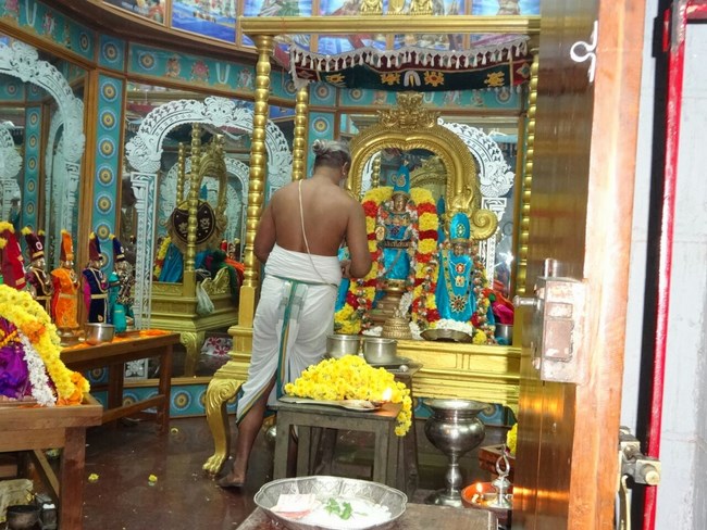 Mylapore SVDD Srinivasa Perumal Temple Pagal Pathu Utsavam12