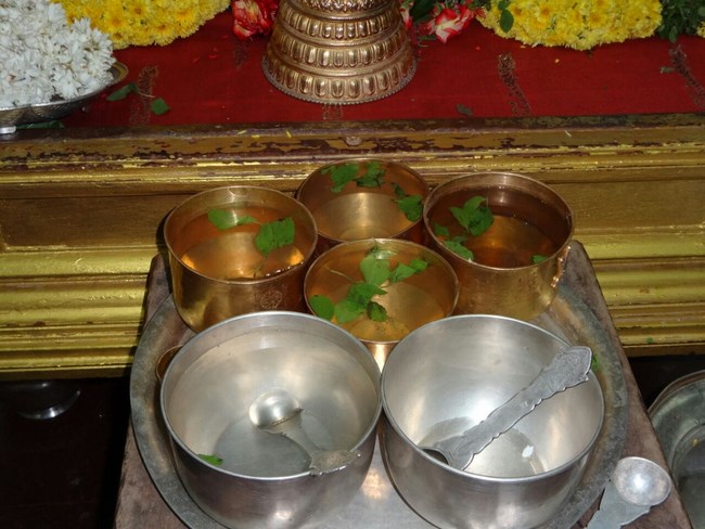 Mylapore SVDD Srinivasa Perumal Temple Pagal Pathu Utsavam13