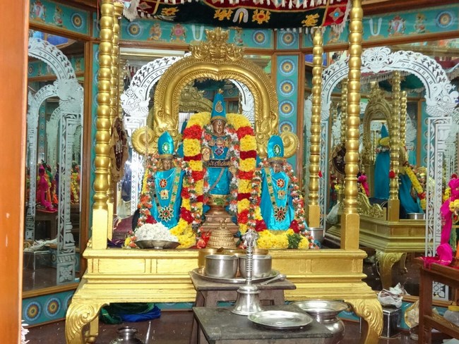 Mylapore SVDD Srinivasa Perumal Temple Pagal Pathu Utsavam2