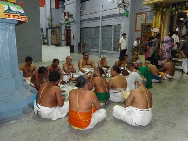 Mylapore SVDD Srinivasa Perumal Temple Pagal Pathu Utsavam5