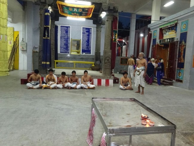 Mylapore SVDD Srinivasa Perumal Temple Pagal Pathu Utsavam8