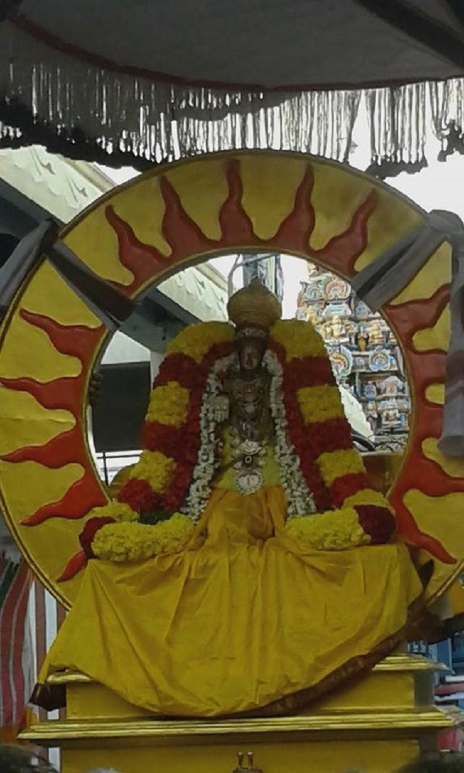 Mylapore SVDD Srinivasa Perumal Temple Rathasapthami Purappadu12