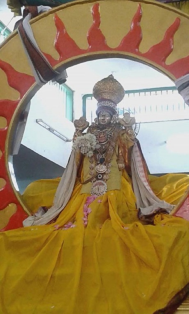 Mylapore SVDD Srinivasa Perumal Temple Rathasapthami Purappadu14
