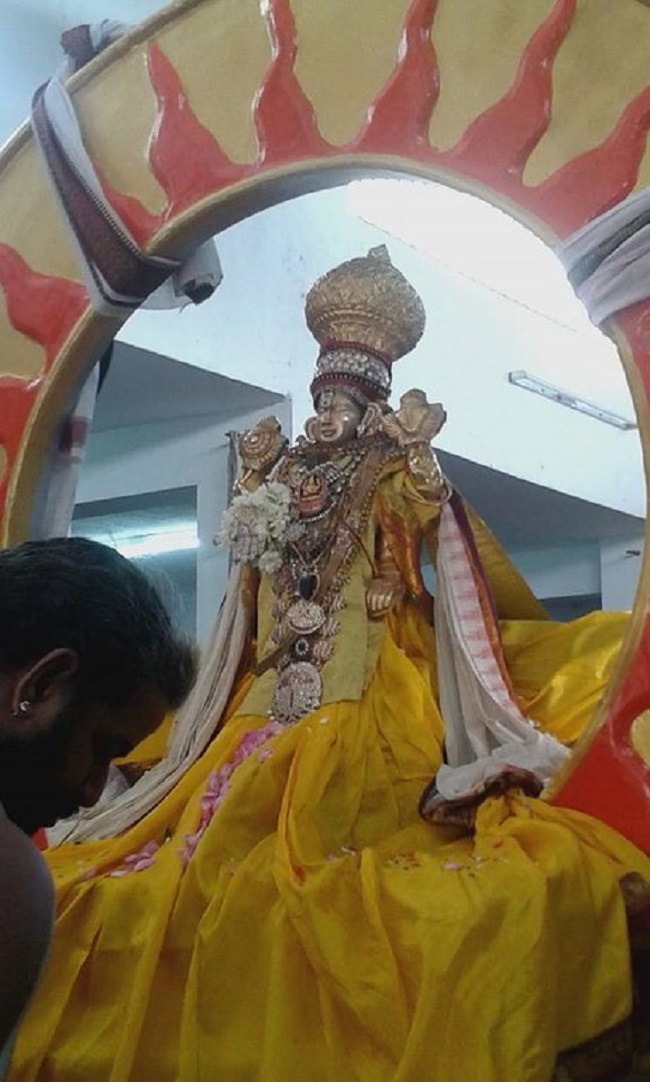 Mylapore SVDD Srinivasa Perumal Temple Rathasapthami Purappadu18