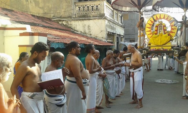 Mylapore SVDD Srinivasa Perumal Temple Rathasapthami Purappadu19