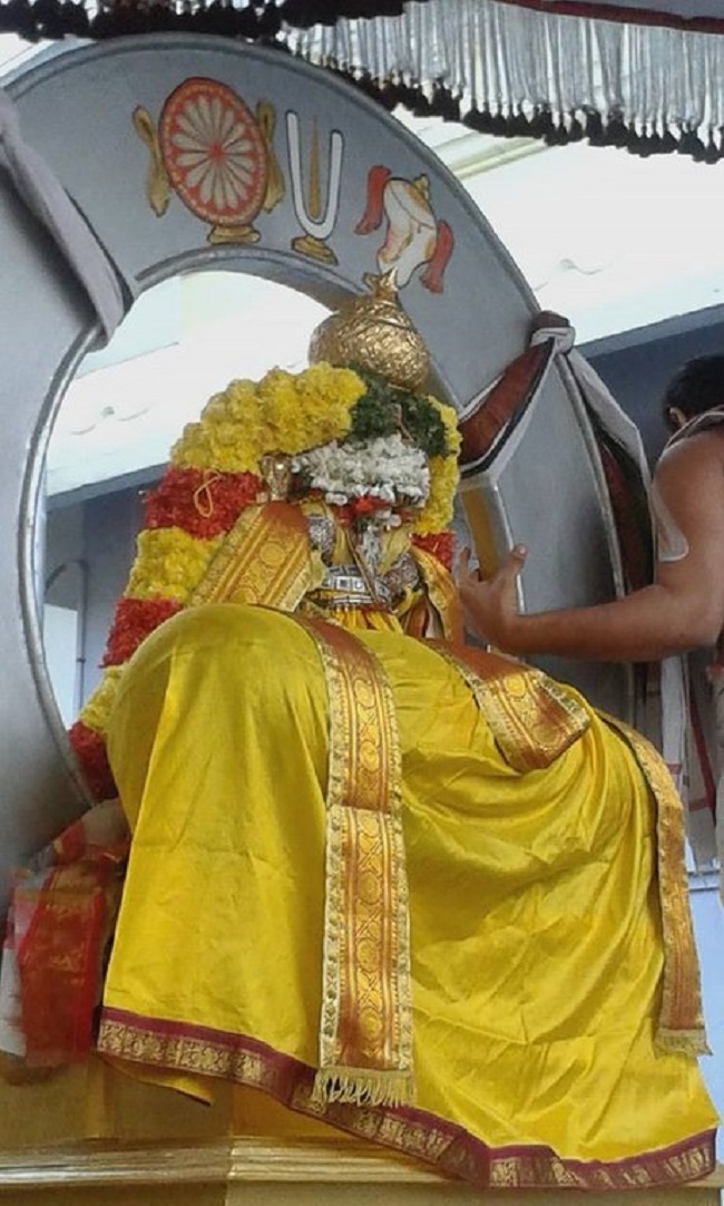 Mylapore SVDD Srinivasa Perumal Temple Rathasapthami Purappadu20