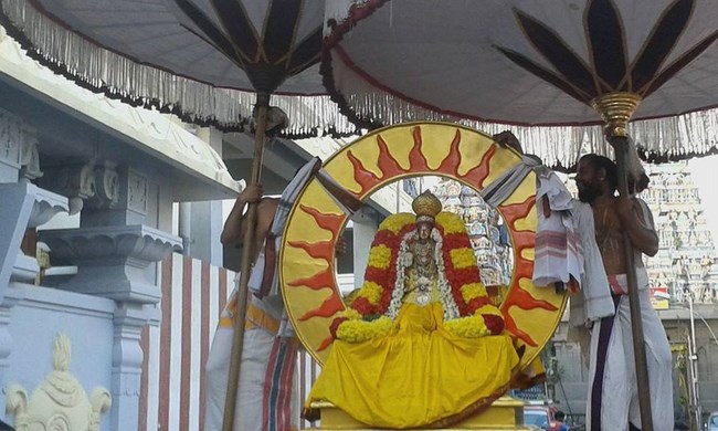 Mylapore SVDD Srinivasa Perumal Temple Rathasapthami Purappadu21