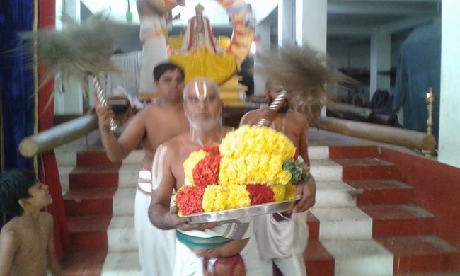 Mylapore SVDD Srinivasa Perumal Temple Rathasapthami Purappadu6