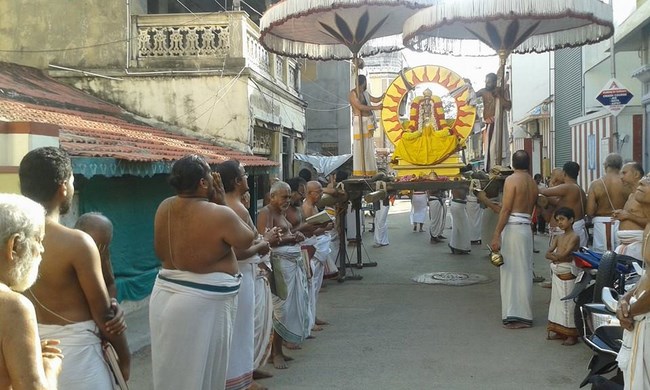 Mylapore SVDD Srinivasa Perumal Temple Rathasapthami Purappadu7