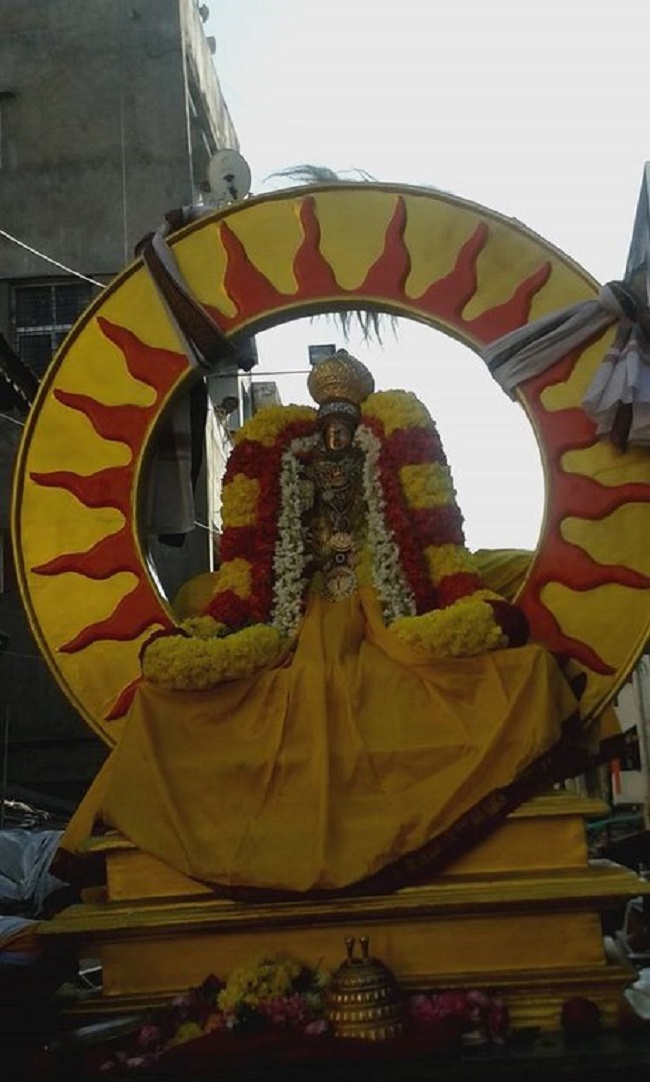Mylapore SVDD Srinivasa Perumal Temple Rathasapthami Purappadu9