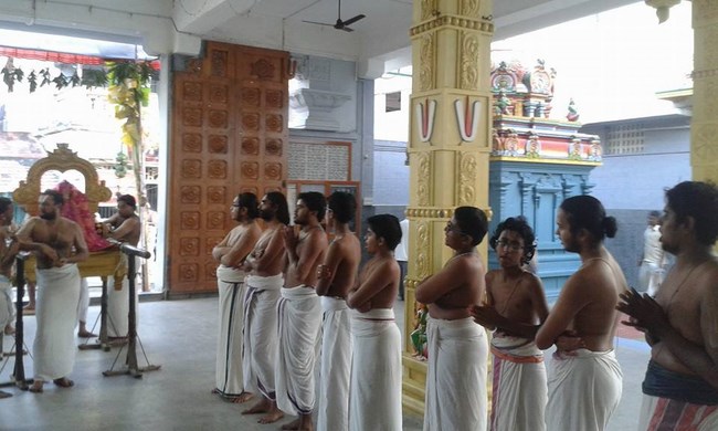Mylapore SVDD Srinivasa Perumal Temple  Sri Andal Neerattu Utsavam10