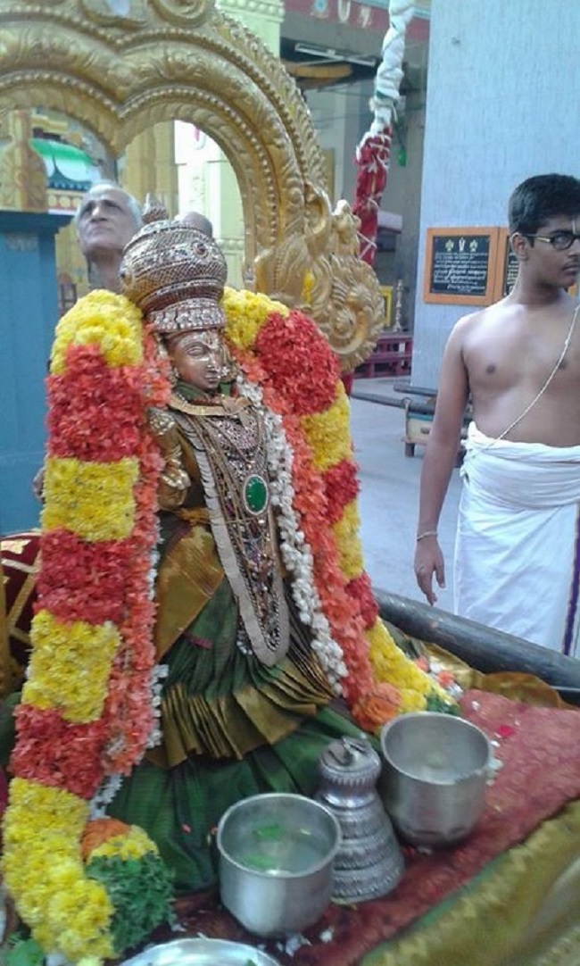 Mylapore SVDD Srinivasa Perumal Temple  Sri Andal Neerattu Utsavam11