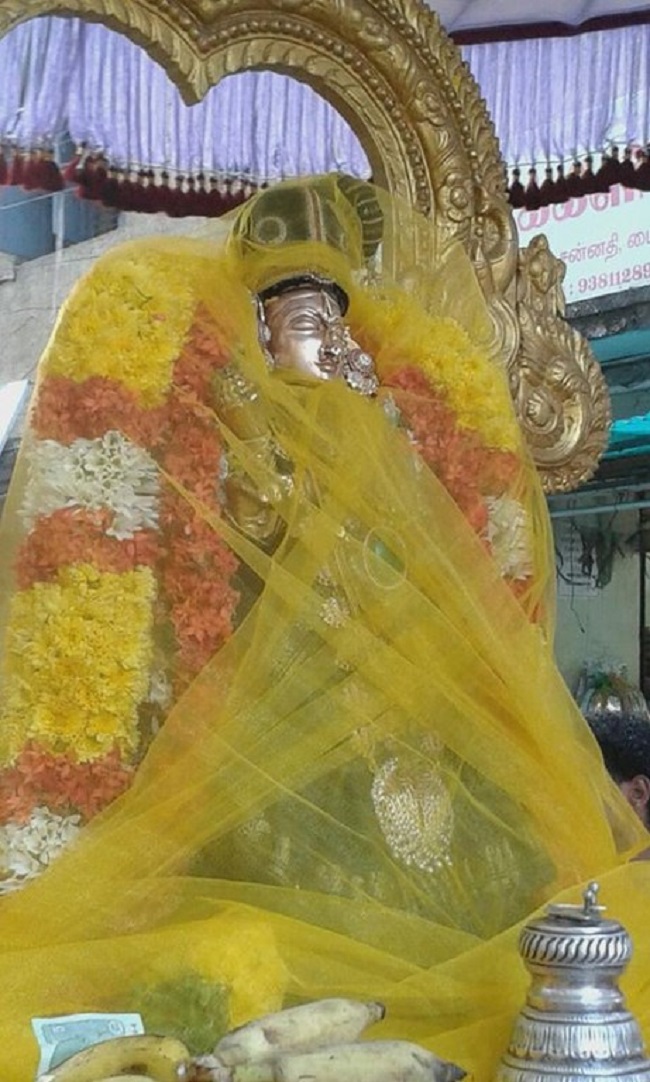 Mylapore SVDD Srinivasa Perumal Temple Sri Andal Neerattu Utsavam1
