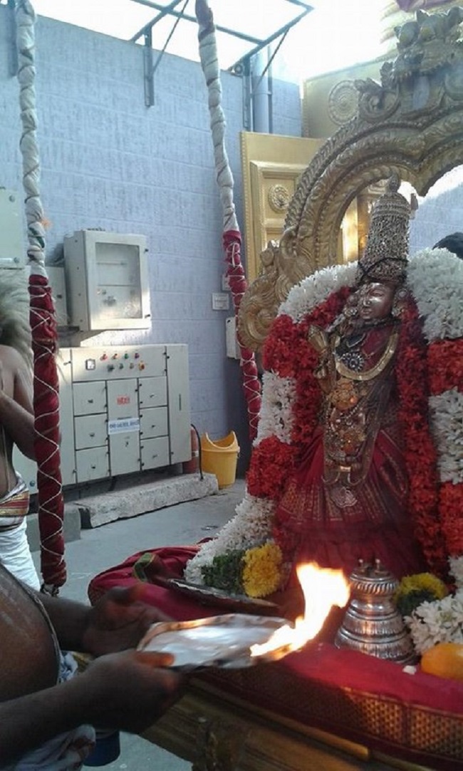 Mylapore SVDD Srinivasa Perumal Temple Sri Andal Neerattu Utsavam11