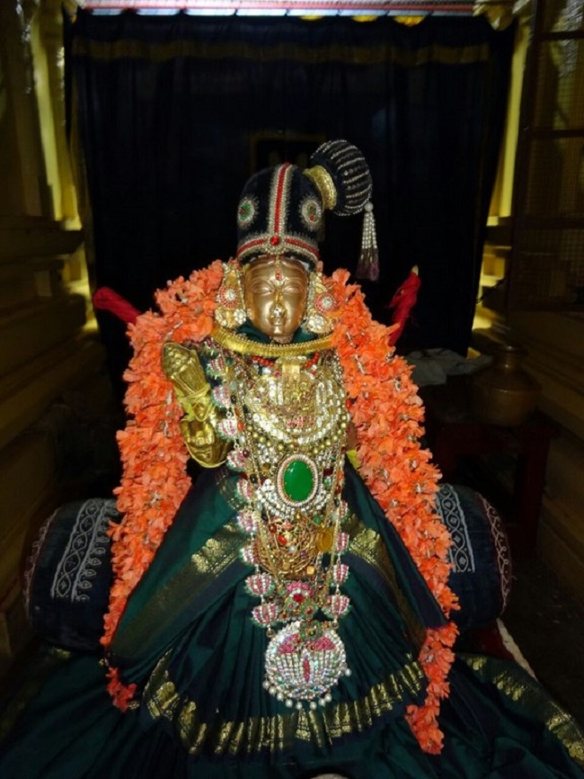 Mylapore SVDD Srinivasa Perumal Temple  Sri Andal Neerattu Utsavam13