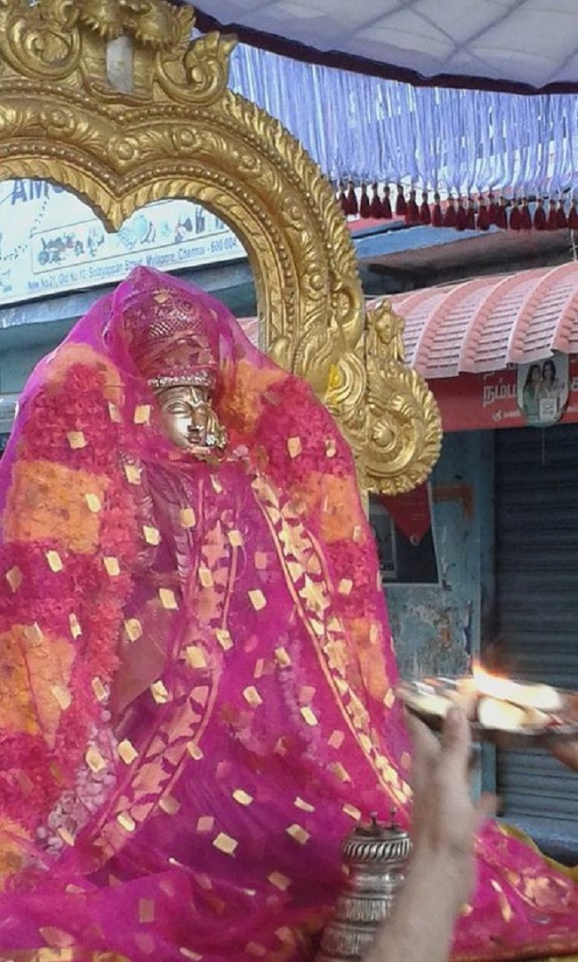 Mylapore SVDD Srinivasa Perumal Temple  Sri Andal Neerattu Utsavam14
