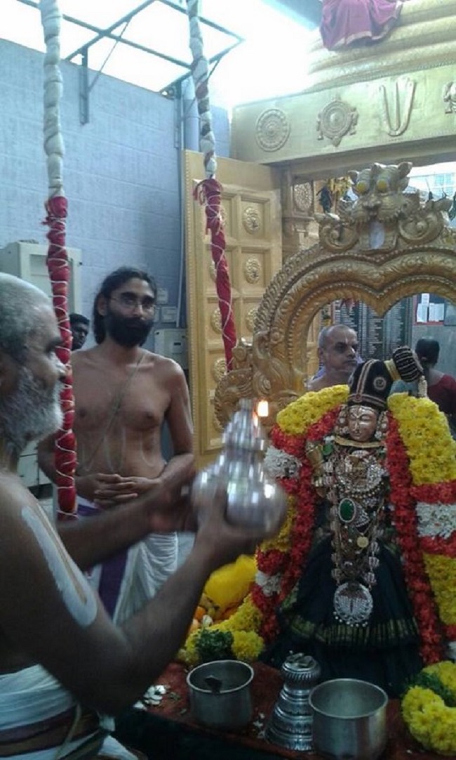 Mylapore SVDD Srinivasa Perumal Temple Sri Andal Neerattu Utsavam15