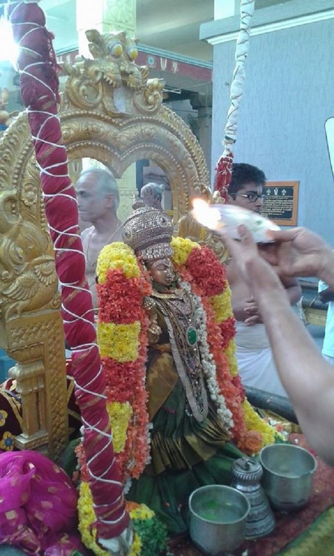 Mylapore SVDD Srinivasa Perumal Temple  Sri Andal Neerattu Utsavam19