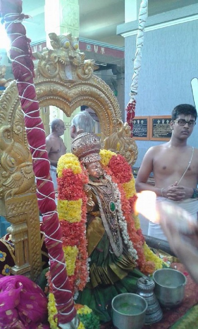 Mylapore SVDD Srinivasa Perumal Temple  Sri Andal Neerattu Utsavam2