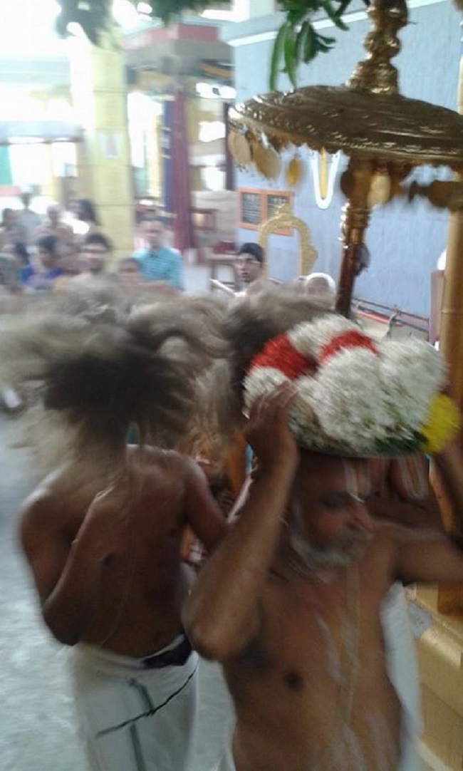 Mylapore SVDD Srinivasa Perumal Temple Sri Andal Neerattu Utsavam2