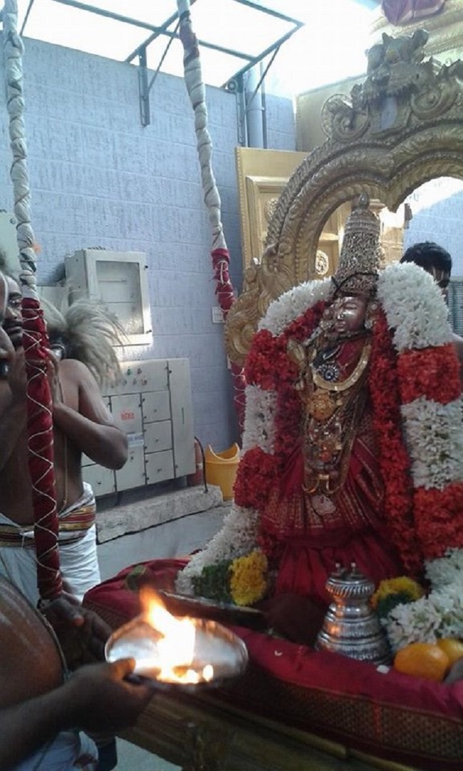 Mylapore SVDD Srinivasa Perumal Temple Sri Andal Neerattu Utsavam28