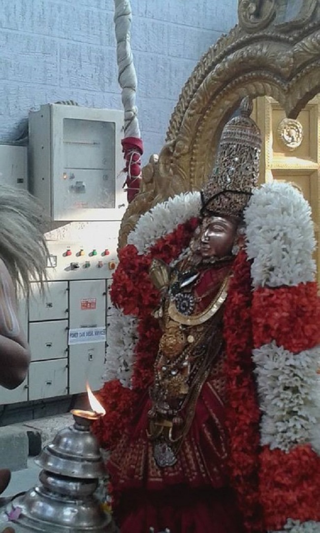 Mylapore SVDD Srinivasa Perumal Temple Sri Andal Neerattu Utsavam29