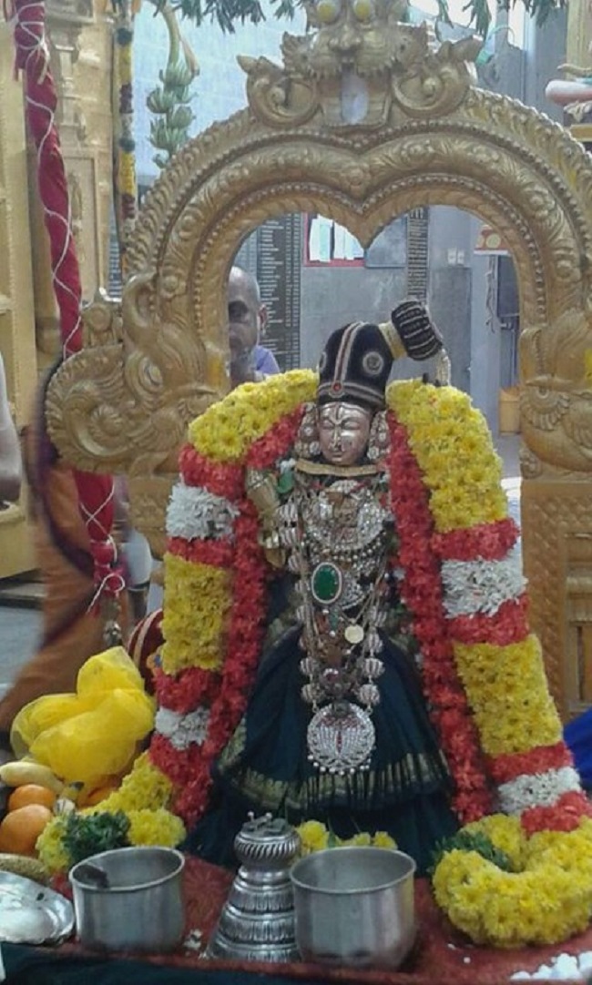 Mylapore SVDD Srinivasa Perumal Temple Sri Andal Neerattu Utsavam3