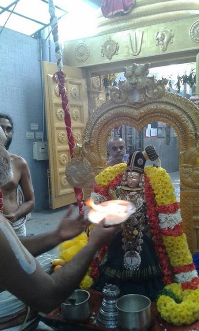 Mylapore SVDD Srinivasa Perumal Temple Sri Andal Neerattu Utsavam4